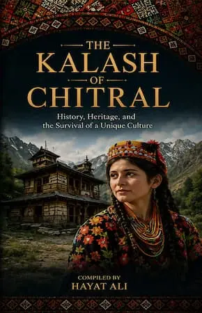 Professional book cover design sample